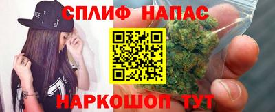 гашик Кулебаки