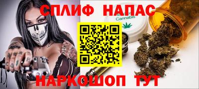 гашик Кулебаки