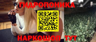 a pvp Кунгур