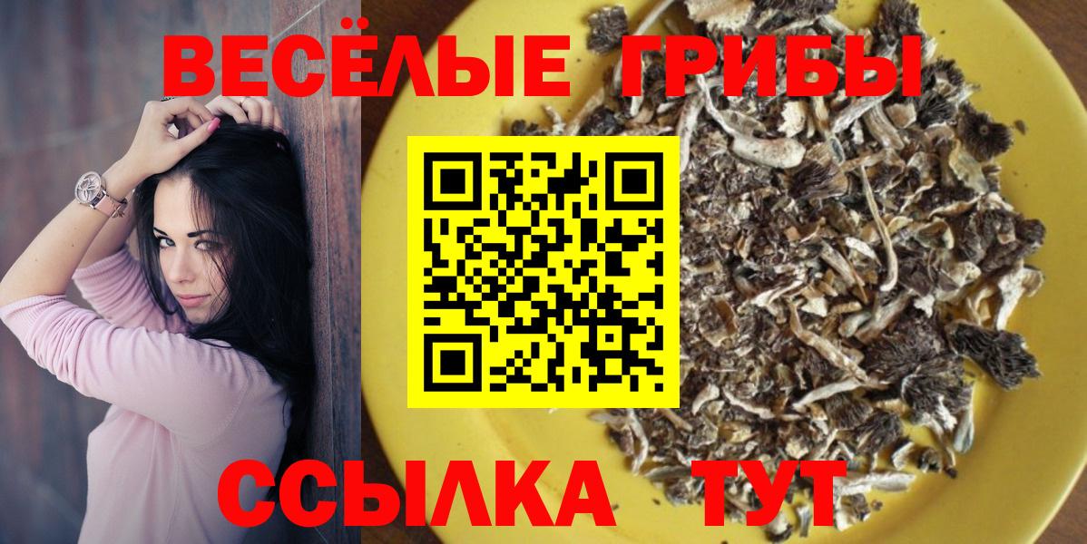 Галлюциногенные грибы GOLDEN TEACHER Гусев